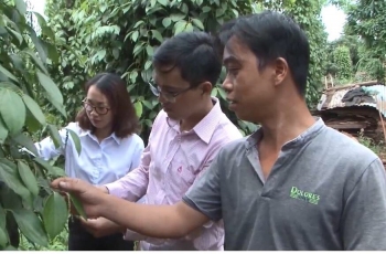 Hội Liên hiệp Phụ nữ xã Đường 10 - Nêu cao tinh thần trách nhiệm trong truyền tải tín dụng chính sách