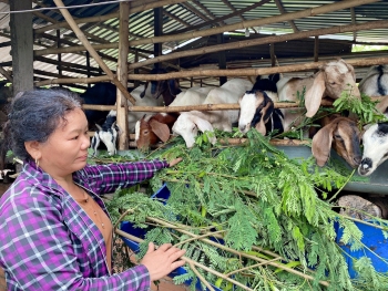 TIẾP TỤC THỰC HIỆN CHO VAY CHƯƠNG TRÌNH TÍN DỤNG ĐỐI VỚI HỘ MỚI THOÁT NGHÈO