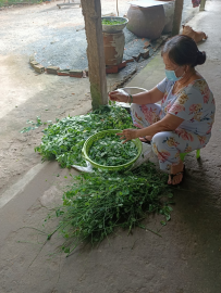 GƯƠNG NGƯỜI PHỤ NỮ TIÊU BIỂU TRONG CÔNG TÁC HỘI VÀ PHONG TRÀO PHỤ NỮ Ở ĐỊA PHƯƠNG