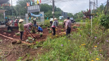 Hội LHPN phường Phú Thịnh, thị xã Bình Long ra mắt mô hình "Con đường hoa"