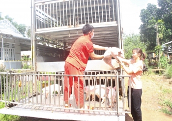 Hội LHPN huyện Phú Riềng  trao sinh kế cho hội viên, phụ nữ khó khăn