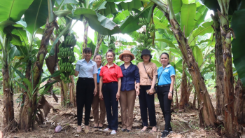 Hội LHPN phường Tân Xuân thành phố Đồng Xoài ra mắt tổ hợp tác liên kết trồng và tiêu thụ trái cây tại khu phố Suối Đá