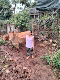 Gương điển hình phát triển kinh tế, xóa đói, giảm nghèo