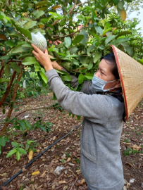 Gương điển hình về vươn lên vượt khó, phát triển kinh tế gia đình