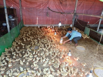 Gương phụ nữ dân tộc thiểu số nuôi dạy con tốt,  tích cực lao động sản xuất phát triển kinh tế gia đình
