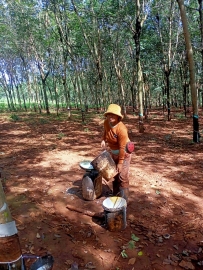 Gương điển hình Chi hội trưởng phụ nữ tận tâm với phong trào