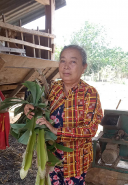 Gương hội viên phụ nữ nghèo vượt khó